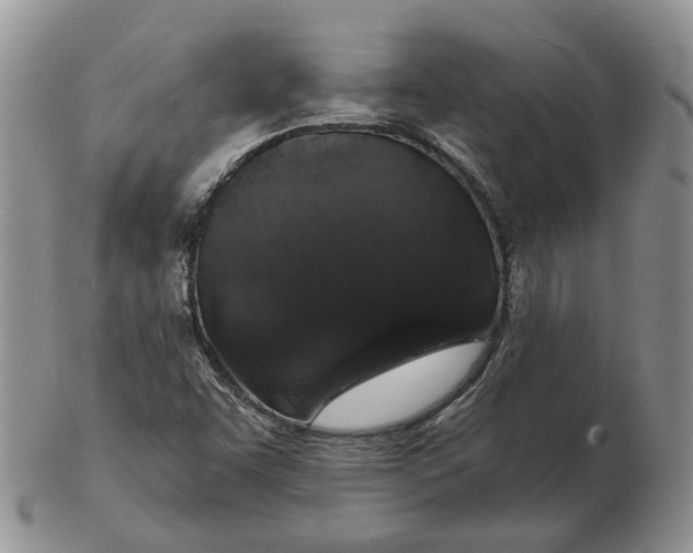 X0000102771455200809021019