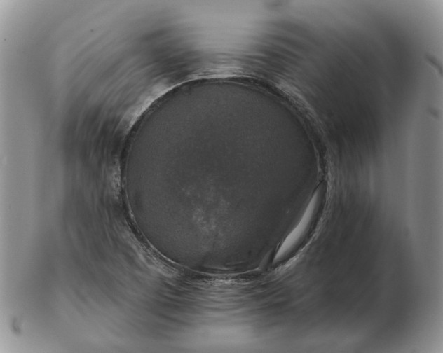 X0000102771457200809021019