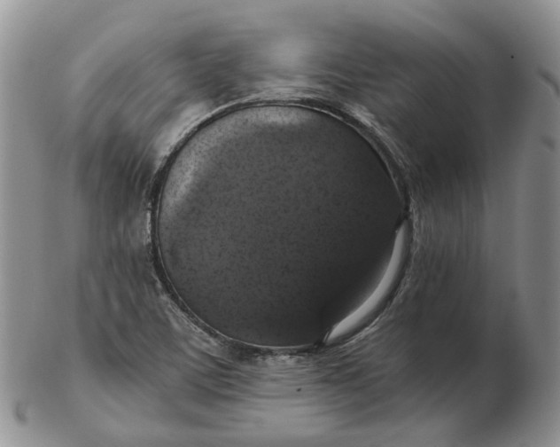 X0000102771459200809021019