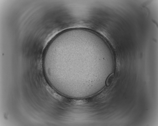 X0000102771460200809021019