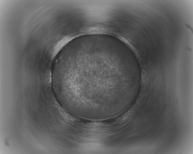 X0000102771461200809021019