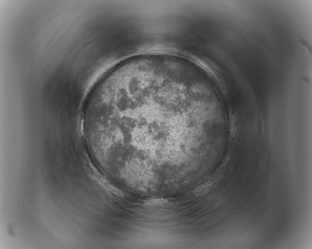 X0000102771462200809021019