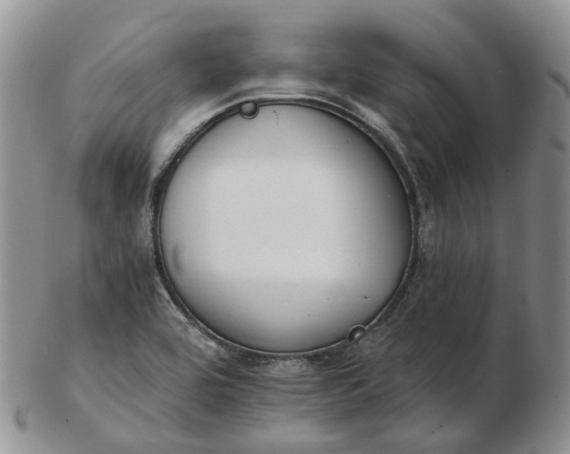 X0000102771464200809021019