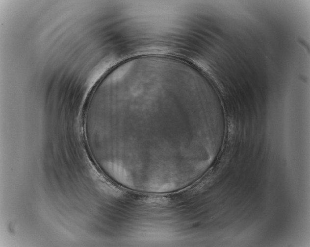 X0000102771466200809021019