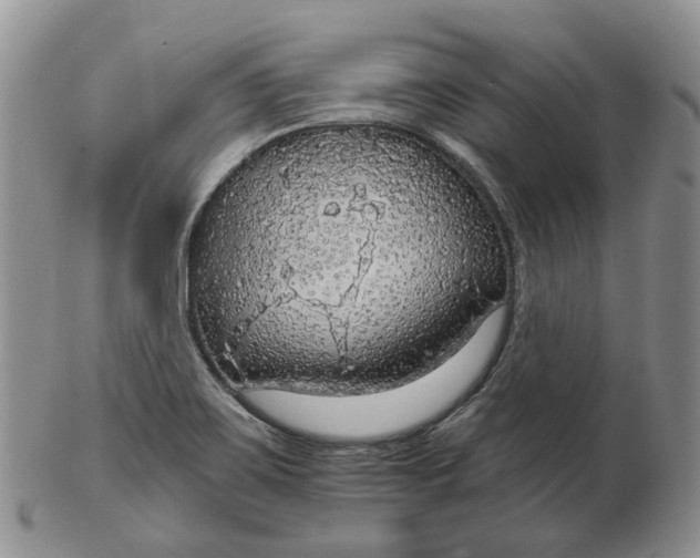 X0000102771467200809021019