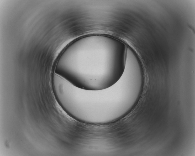 X0000102771468200809021019