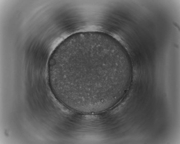 X0000102771469200809021019