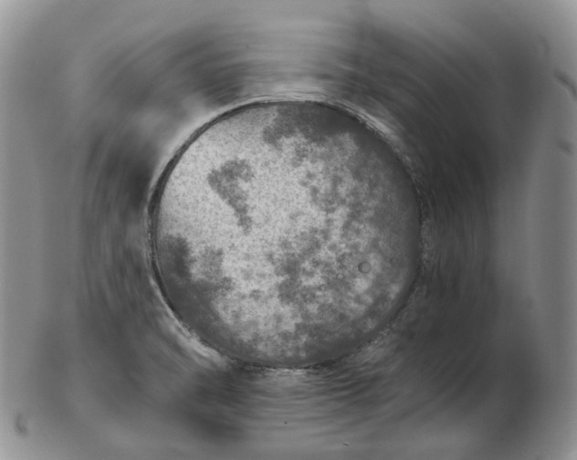 X0000102771470200809021019