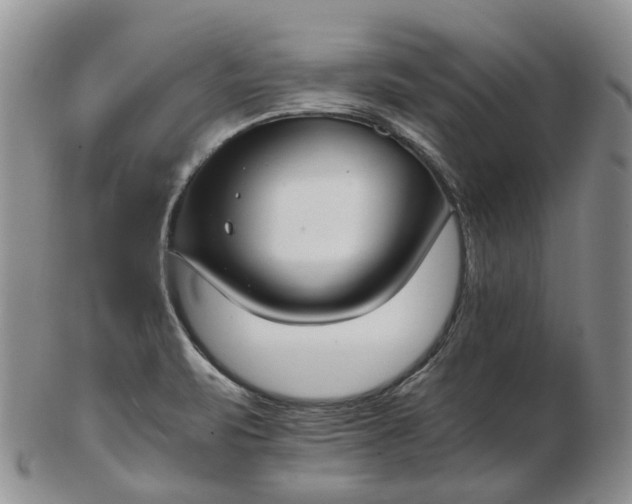 X0000102771471200809021019