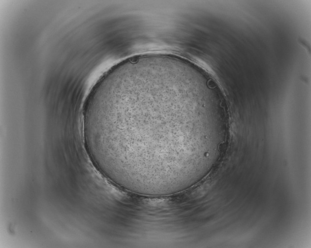 X0000102771472200809021019