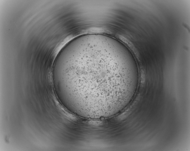 X0000102771473200809021019