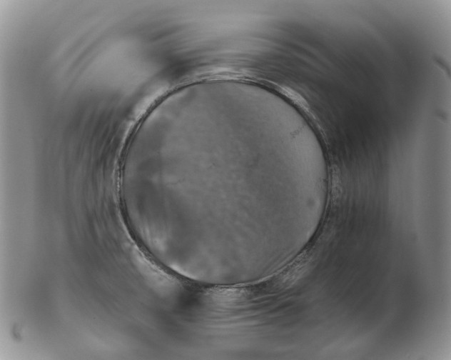 X0000102771474200809021019