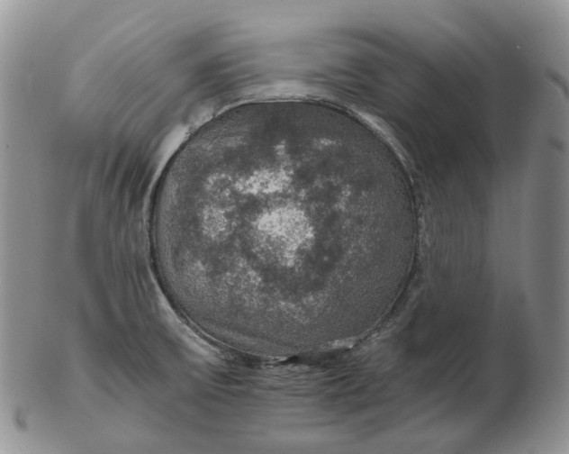 X0000102771475200809021019