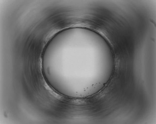 X0000102771476200809021019