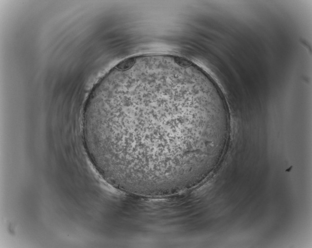 X0000102771477200809021019