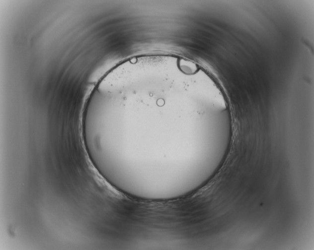 X0000102771480200809021019