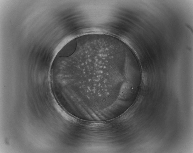 X0000102771482200809021018