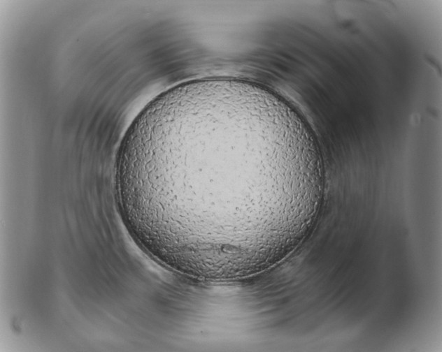 X0000102771483200809021018