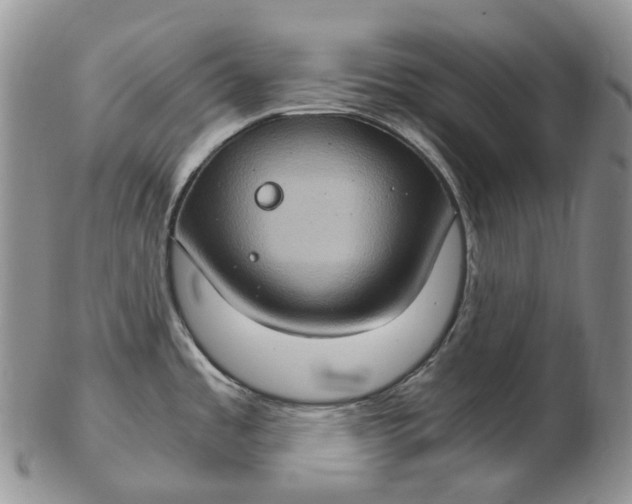 X0000102771485200809021018