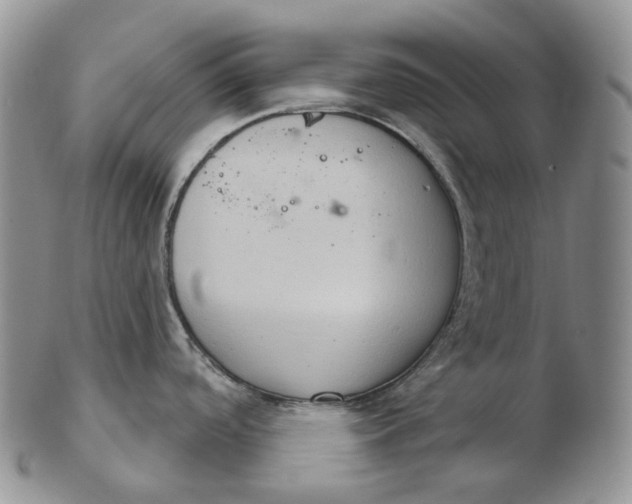 X0000102771488200809021018