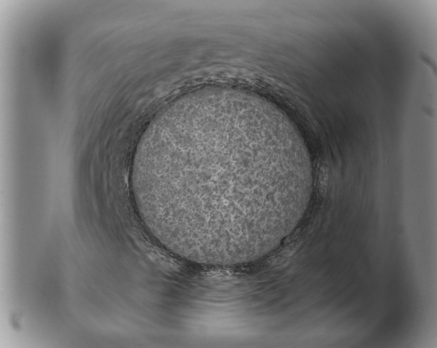 X0000102771489200809021017