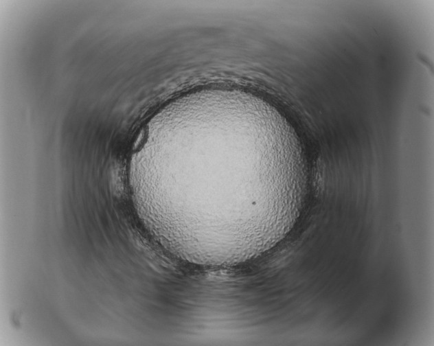 X0000102771490200809021017