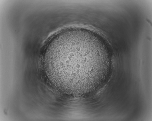 X0000102771494200809021017