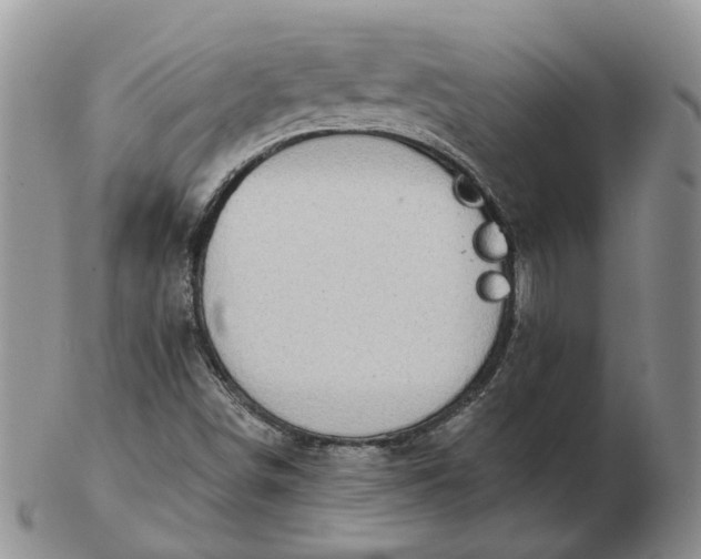 X0000102771498200809021018