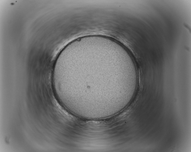 X0000102771500200809021018