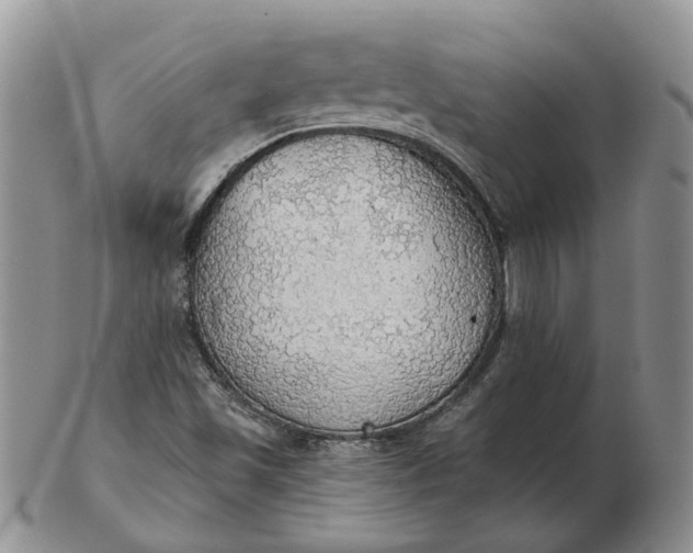 X0000102771501200809021018