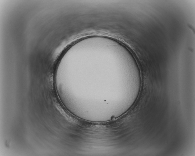 X0000102771503200809021018