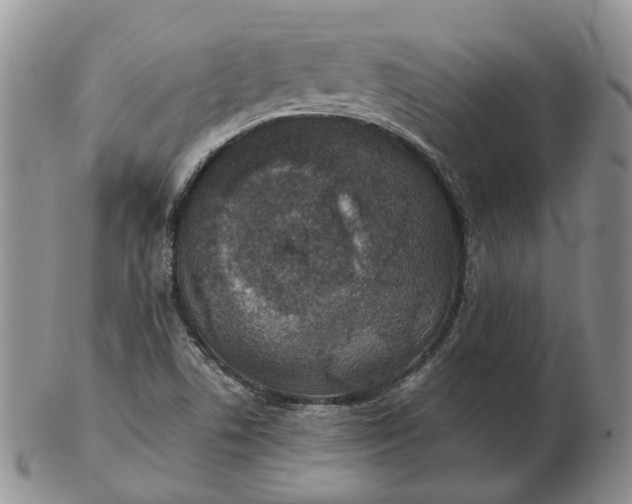 X0000102771506200809021018