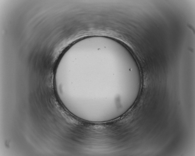 X0000102771507200809021018