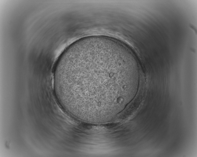 X0000102771509200809021018