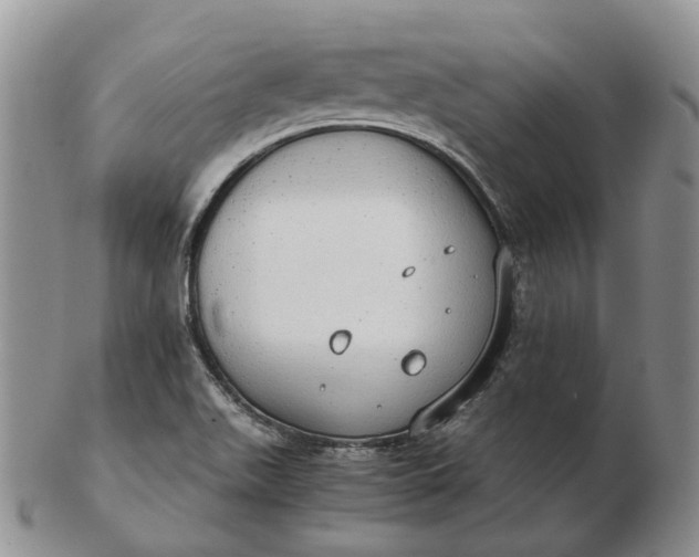 X0000102771511200809021018