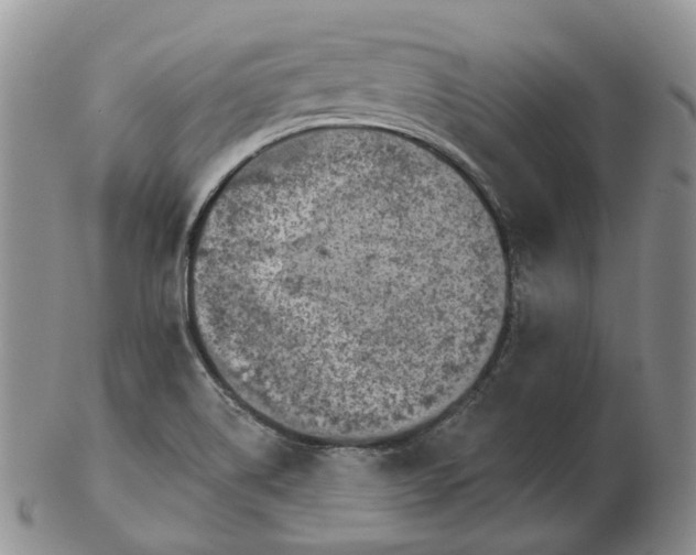 X0000102771514200809021018