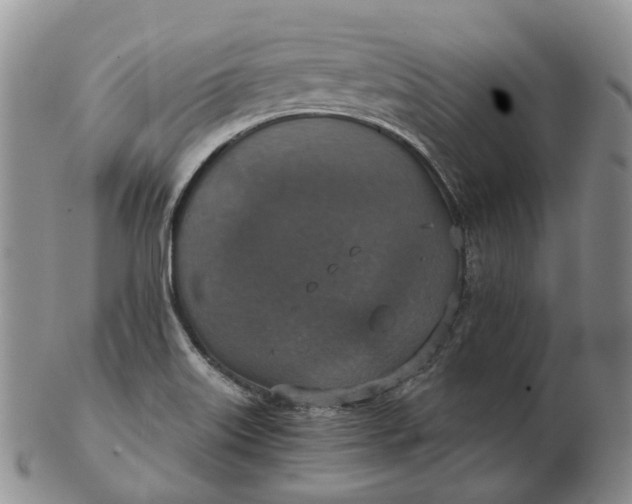 X0000102771515200809021018