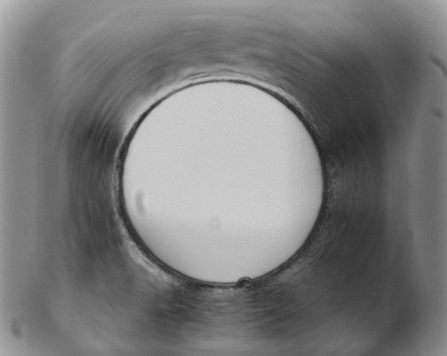 X0000102771518200809021018