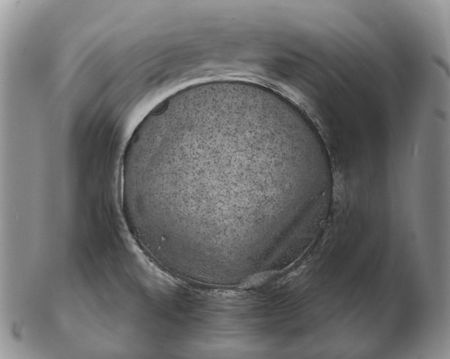 X0000102771520200809021018