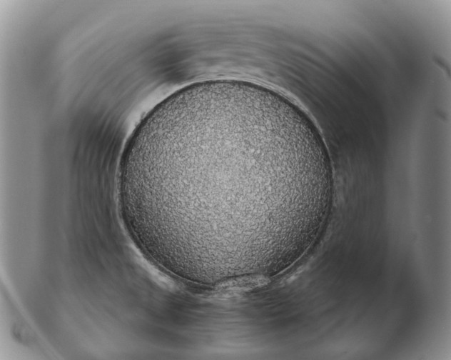 X0000102771525200809021018