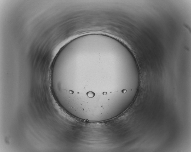 X0000102771526200809021018