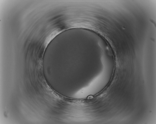 X0000102771529200809021018