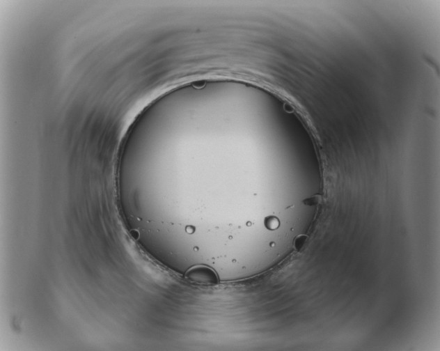 X0000102771530200809021018