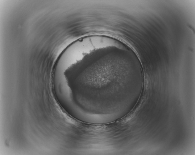 X0000102771533200809021018