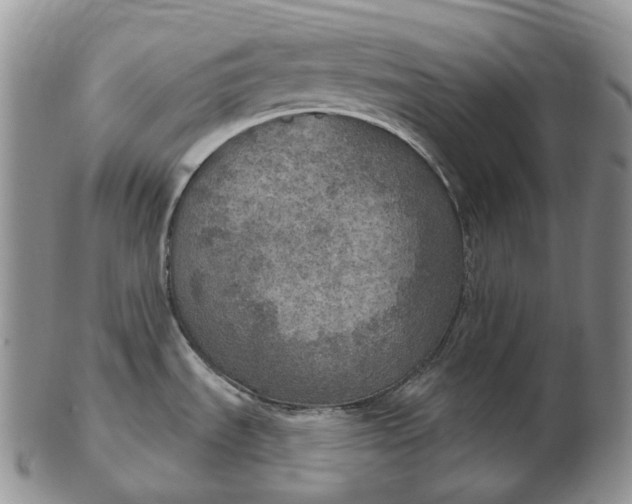 X0000102771535200809021018