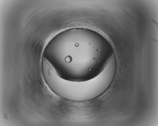 X0000102771536200809021018