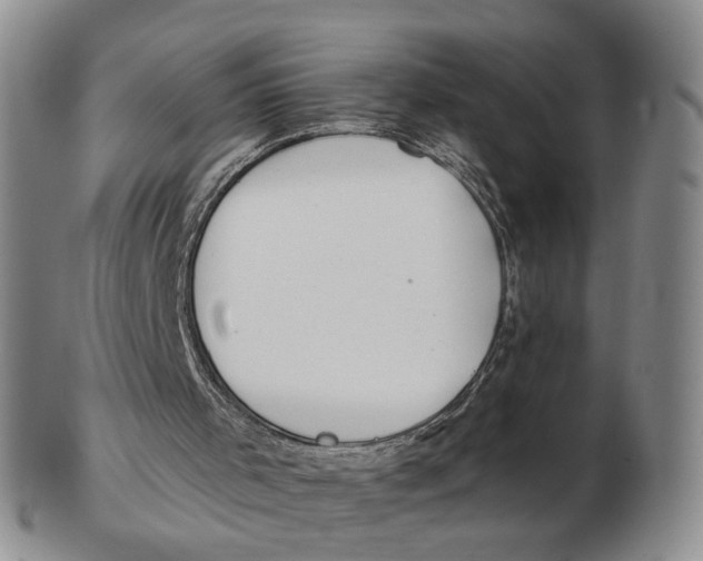 X0000102770001200809081015