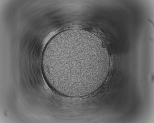 X0000102770003200809081015