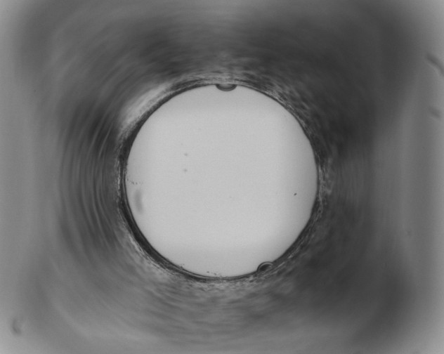 X0000102770005200809081015