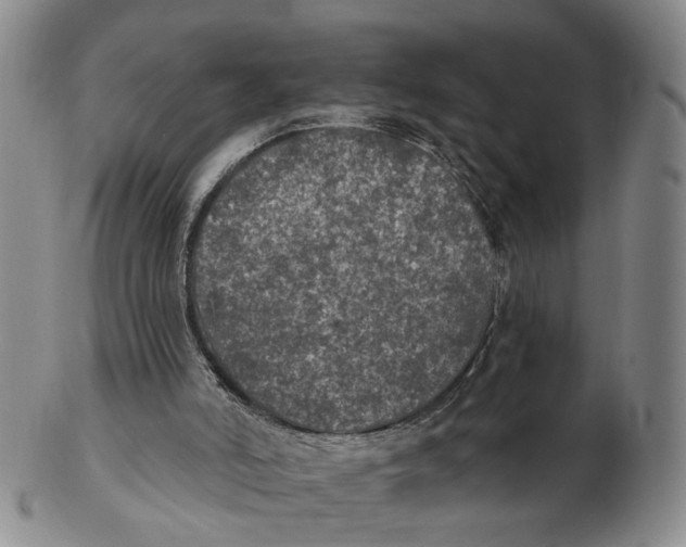 X0000102770006200809081015